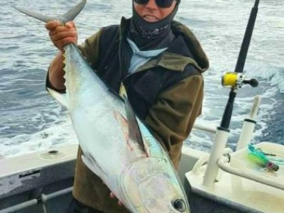 2021-2022 Blue fin tuna 11.22kg