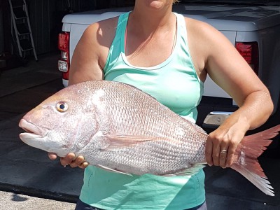 2017-2018 Shelley's 6.14kg Snapper
