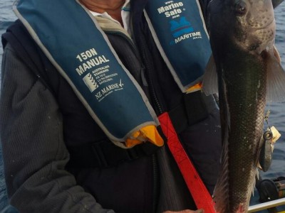 2016-2017 Bryan's Blue cod