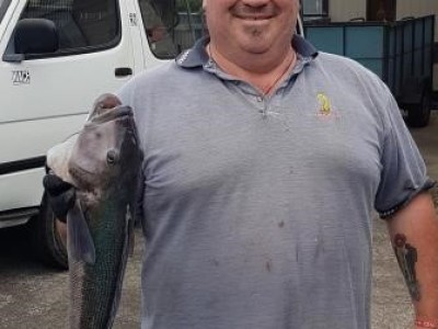 2019-2020 Garry's 2.36kg Blue Cod