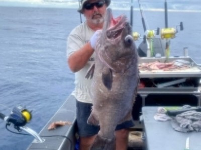 2022 - 2023 Stuart's Bass