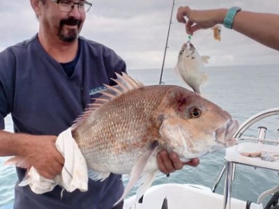 2022 - 2023 Mikes 7.33kg Snapper