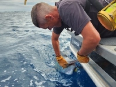 2022 - 2023 Angry Gnome, Tag & Release 2