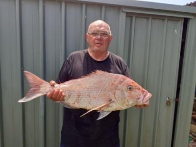 2020-2021 Doug's 5kg Snapper